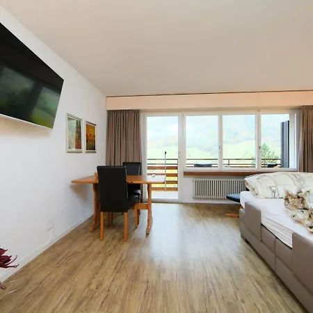 Apartment Ringstrasse